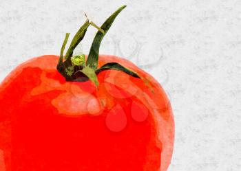 Fresh red tomato on the white background. Digitally generated oil painting.