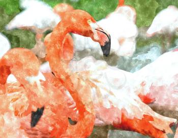 Abstract watercolor digital generated painting of the pink Flamingo.