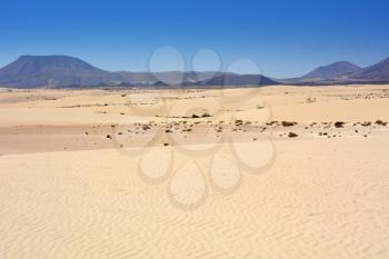 Golden sand dunes in Parque Natural Corralejo on the north-east of Fuerteventura island.