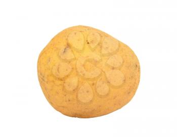 One whole fresh potato isolated on white background.