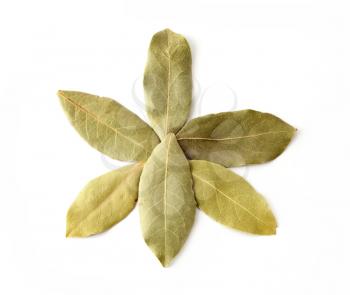 Top view of dried bay leaves arranged in a star shape on white background.