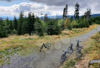 Five mountain bikes standing on stone path in forest of Sumava National Park.