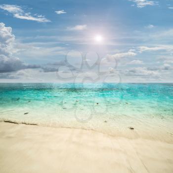 Beach panorama. Tropical summer landscape day background