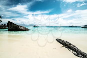 Tropical beach. Summer natural landscape day background