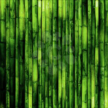 Bamboo wall. Green nature background tropical wood