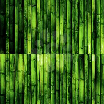 Bamboo wall. Green nature background surface texture