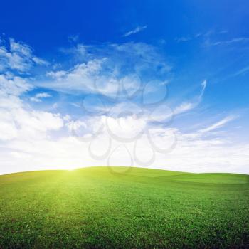 Morning field. Summer good weather nature background
