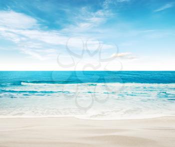 Tropical paradise beach. Summer caribbean sea background