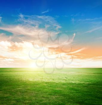 Sky and green meadow. Summer background nature