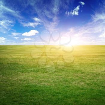 Sky and green meadow. Summer background outdoor scene