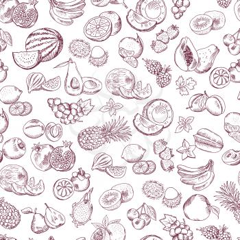 Vector seamless pattern of doodle fruits on white background. Background with drawing natural sweet fruits illustration