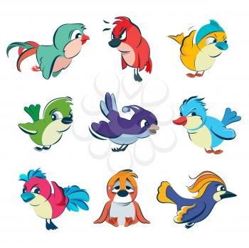 Funny different birds. Vector illustrations set in cartoon style. Cartoon colored birds collection