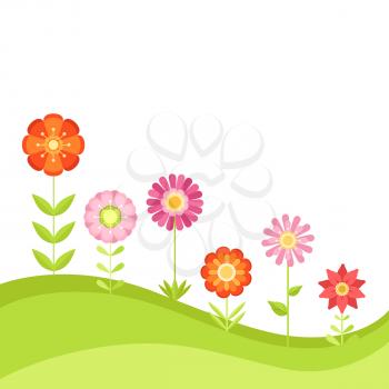 Summer floral vector background with garden flowers. Illustration in flat style. Green meadow with color flowers, summer floral flower