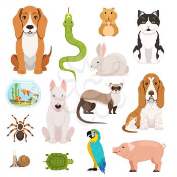 Big vector set of different domestic animals. Cats, dogs, hamster and other pets in cartoon style. Animal dog and cat, domestic hamster and rabbit illustration