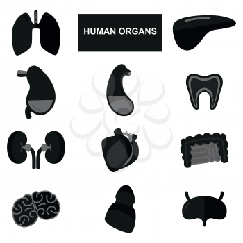 Silhouettes of human organs on white background. Set of anatomical icons. Vector illustration