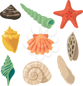 Summer tropical objects. Marine shells in cartoon style. Vector colored set of ocean cartoon shell and seashell illustration