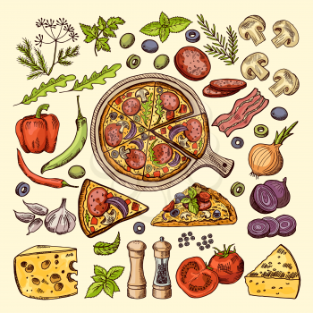 Slices of pizza with cheeses, olives and other ingredients. Vector hand drawn illustrations italian pizza ingredient, vegetable mushroom and garlic