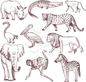 Hand drawn illustrations of african animals. Vector animal african nature, sketch wild mammal