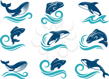 Stylized pictures of marine animals. Sharks, fishes and others. Symbols for logo design. Vector fish animal, marine shark in water illustration