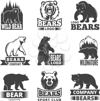 Sport labels with illustrations of animals. Pictures of bears for logo design. Vector bear wild, grizzly animal silhouette badge or logo