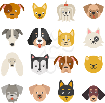 Heads of home pets. Funny dogs in flat style. Vector animal cat, illustration of character puppy