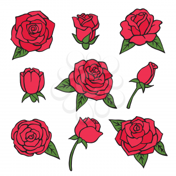 Vector pictures set of various roses. Love symbols flower. Collection of floral romantic illustration