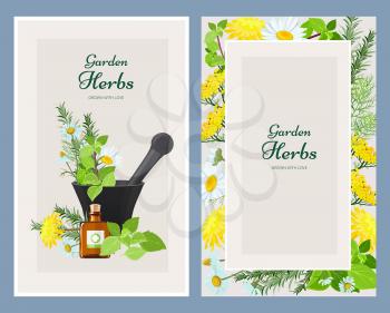 Floral cards. Herbalism medicine products wild herbs and flowers vintage design vector template. Illustration of herbal natural flower, floral organic medicine or cosmetic