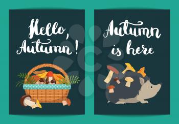 Vector card or flyer templates with hedgehog with mushrooms on his back and basket full of mushrooms with lettering illustration