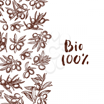 Vector hand drawn olive branches background with place for text illustration