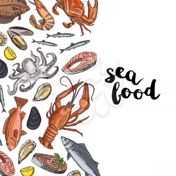 Vector banner or poster background illustration with hand drawn colored seafood elements and lettering
