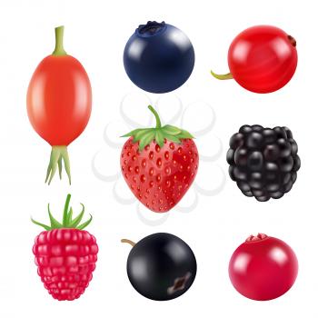 Set of berries. Realistic pictures of fresh fruits and berries isolate on white. Vector blackberry and blueberry, barberry and strawberry illustration