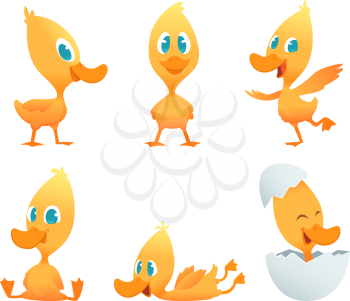 Cartoon duck. Various action poses of funny duck. Vector clipart duckling character illustration