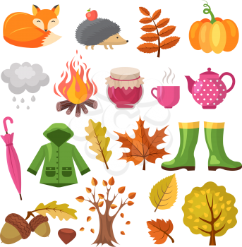 Autumn icon set. Various symbols of autumn. Vector pumpkin and boots, jam and hedgehog illustration