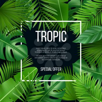 Leaves frame. Vector design template with nature green plants tropical picture with place for your text. Realistic exotic leaf green, jungle hawaii flora banner for sale illustration