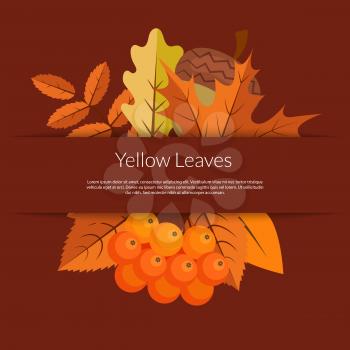 Vector cartoon autumn elements and leaves background with place for text illustration