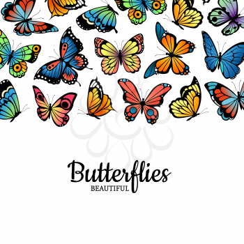 Vector decorative butterflies colored insects background illustration. Banner with place for text