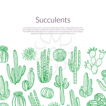 Vector hand drawn wild cacti plants background with place for text illustration. Cactus plant wild, succulent exotic cacti illlustration
