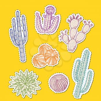 Vector hand drawn desert cacti plants colored stickers of set illustration