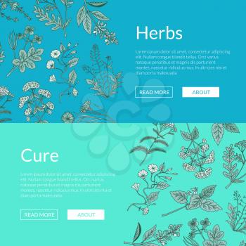 Vector hand drawn medical herbs web banner and poster page templates illustration
