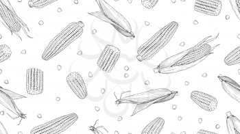 Sketch corn. Harvesting cereals, hand drawn cobs and seeds vector seamless pattern. Drawing corn natural, agriculture organic illustration