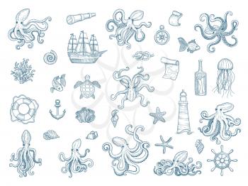 Marine illustrations. Octopus nautical set wild squid shells monster kraken vector hand drawn collection. Octopus monster, seafood and jellyfish illustration
