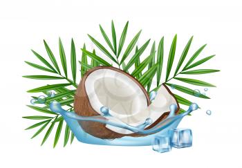 Realistic coconut in water splash, vector palm leaves and ice cubes isolated on white background. Illustration of exotic fruit, healthy coconut nutrition