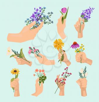 Flowers in hands. Beauty ladies hand holding various colored bouquet lady fresh plants vector cartoon collection. Flower sketch blooming, blossom botanical illustration