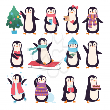 Penguins. Funny winter characters active pose little cute penguins in scarf and clothes vector doodles collection. Bird season greeting, new year characters polar illustration