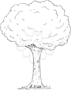 Cartoon vector doodle drawing illustration of broadleaved or deciduous tree.