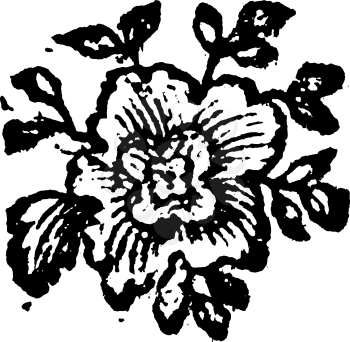 Antique vector drawing or engraving of classic grunge vintage floral decorative design of Flower.From book Die Betrubte Und noch ihrem Beliebten Geussende Turteltaube, printed in Prague, Austrian Empire, 1716.
