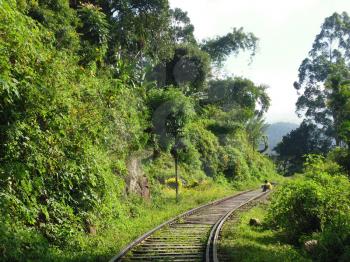 the railroad, surrounded by dense tropical vegetation