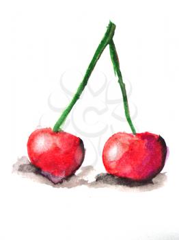 Hand drawn watercolor painting cherry on white background. Illustration of berries