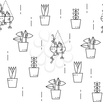 House plants seamless pattern with climbing plant and lilly. Can be used for background, website, poster etc.