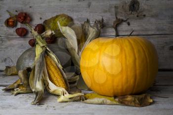 Happy Thanksgiving Day, Decoration on a wooden table with Pumpkins, Corncob and autumn leaves